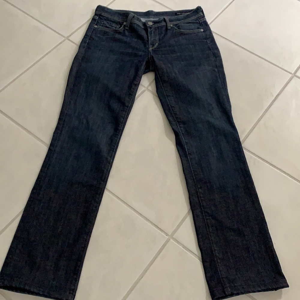 Citizens of Humanity Ava Low Waist Straight Leg